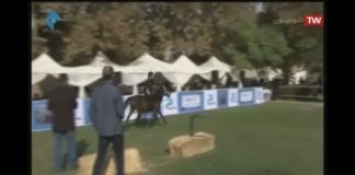 گزارش برنامه تلویزیونی ورزش و مردم از برگزاری جشنواره اسب کاسپین نوروزآباد تهران
