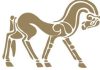 مسابقات درساژ قهرمانی کشور پونی سواران مسابقات درساژ پونی سواران