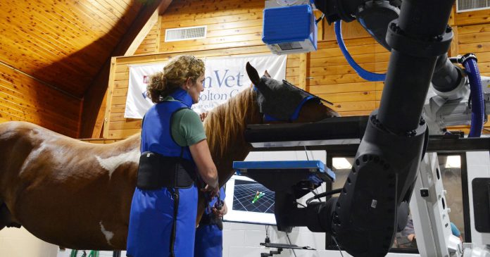 ربات ها و انقلاب در سلامتی اسب ها