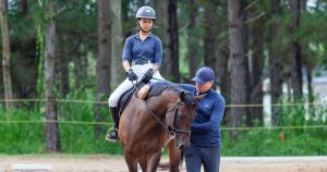 مزایای متعدد دوره کارآموزی برای اسب های بازنشسته مسابقات