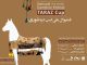 فستیوال ملی اسب دره شوری (جام تاراز)